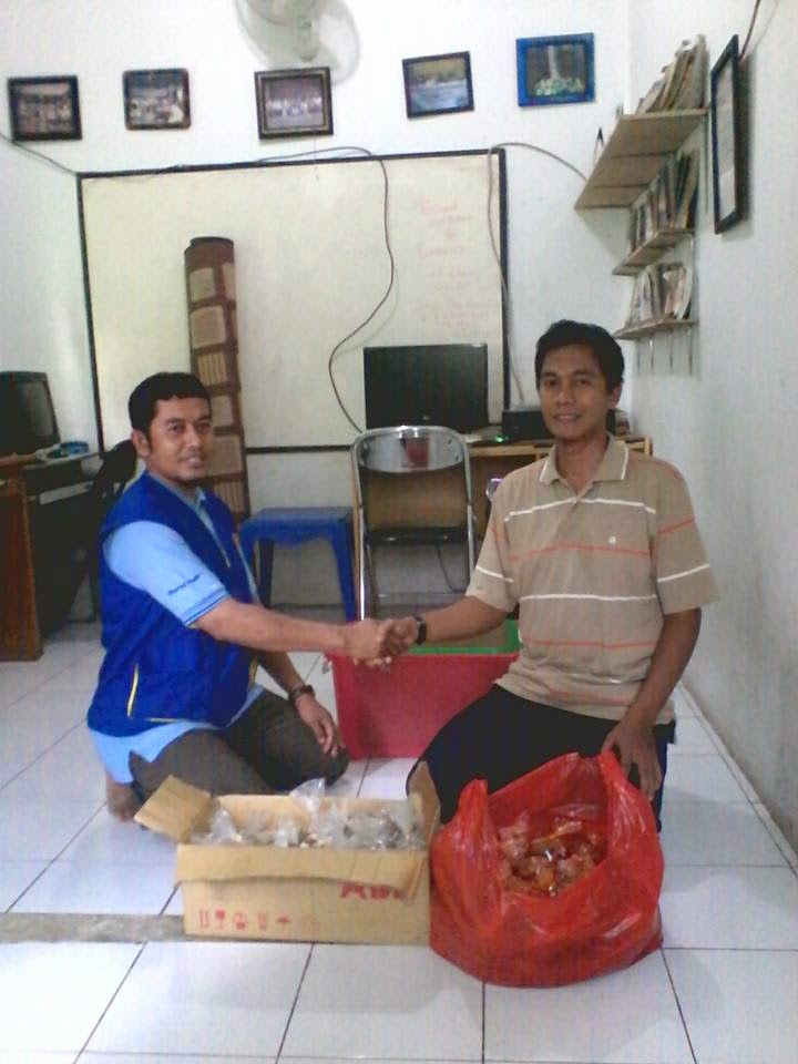 Kambing Aqiqah